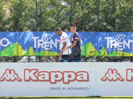 hamsik differenziato dimaro