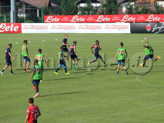 inler partitella