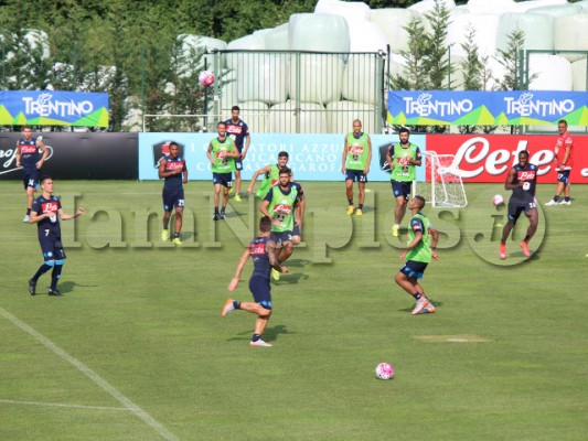 partitella 4 porte