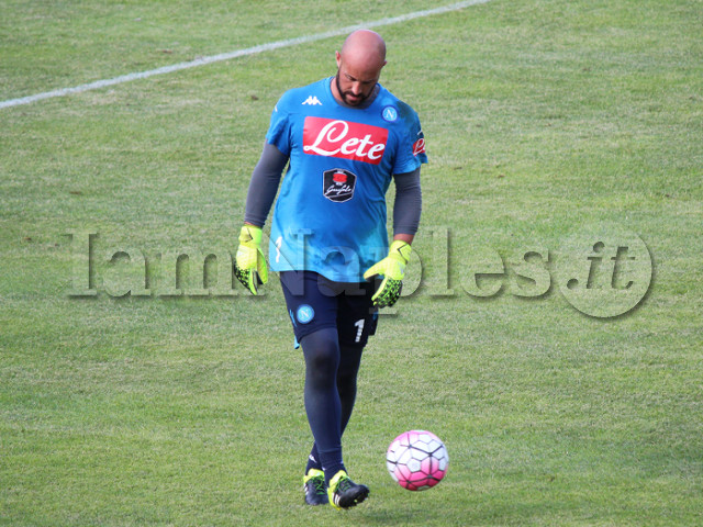 reina pallone dimaro