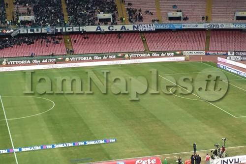 napolisamp